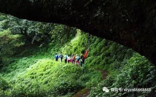 逗小猴开心系列191